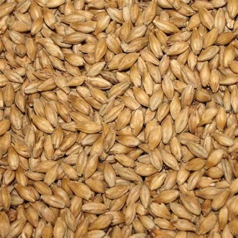 crushed malted barley